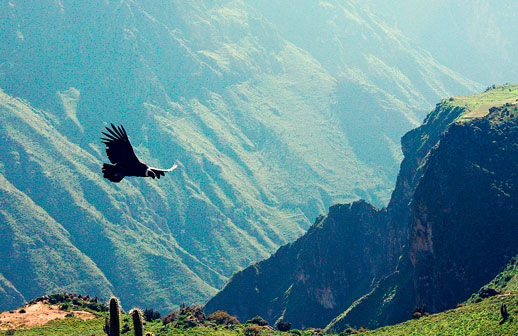 El Valle del Colca recuperó las cifras previas a la pandemia 