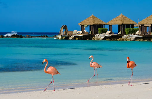 Aruba se consolida como destino preferido de los viajeros peruanos