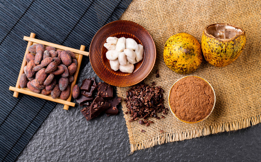 Amazonas convierte el cacao en ruta turística