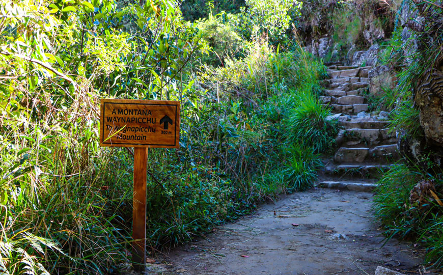 Vuelve Waynapicchu: cuándo se reactiva el Circuito 3 de Machupicchu