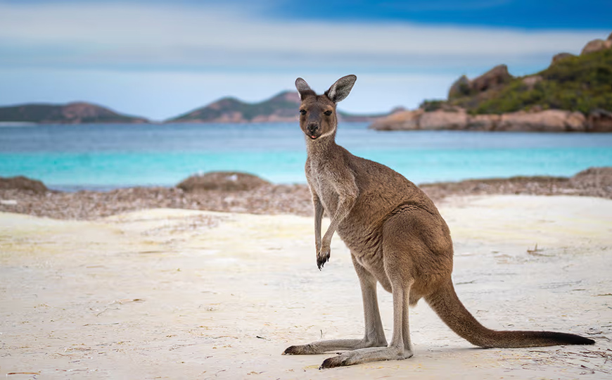 Australia comenzará a detener turistas que incumplan esta regla