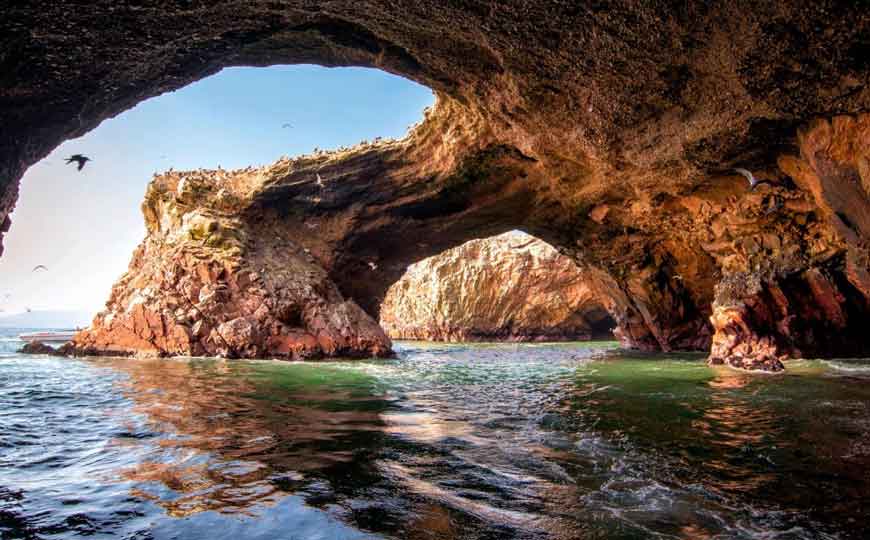 Paracas: estos son los atractivos que destacan en su reserva nacional